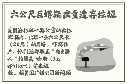 双人打扑克剧烈视频大全