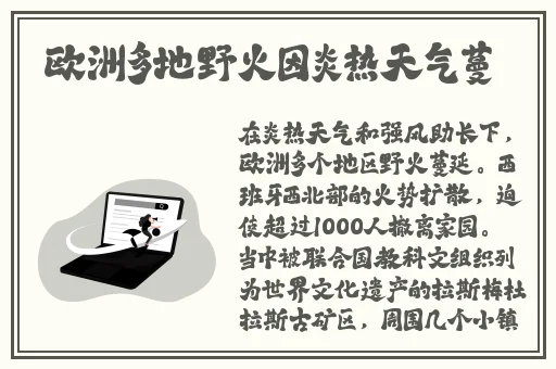无码免费**A片AAA毛片